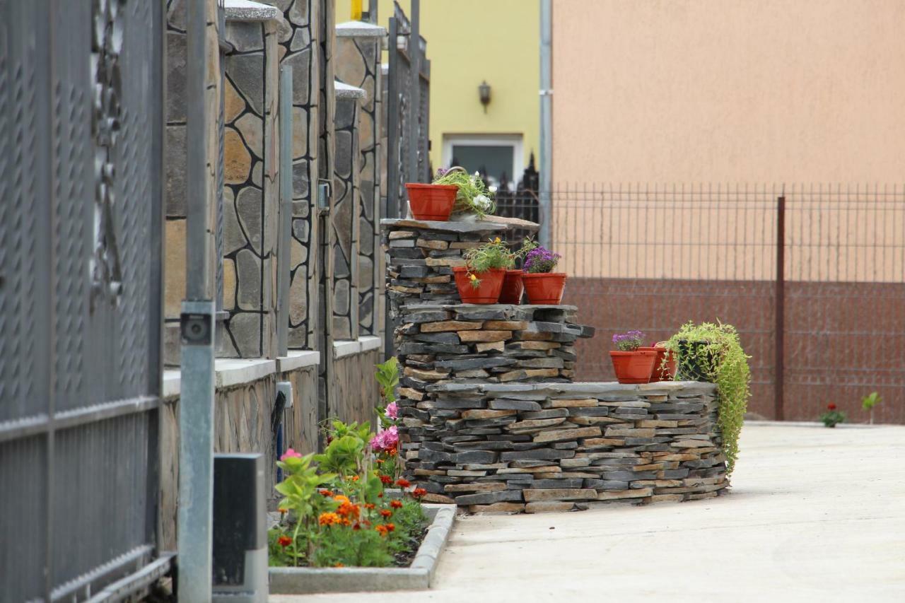 Casa Ivascu Moisei Exterior foto